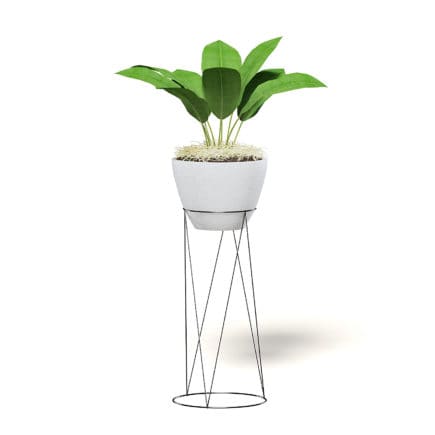 Plant on Tall Rack 3D Model