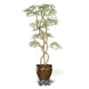 Tree in Metal Pot 3D Model - Image 7