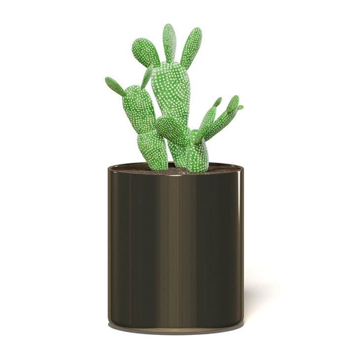 Cactus 3D Model in Metal Pot