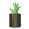 Cactus 3D Model in Metal Pot - Image 5