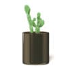 Cactus 3D Model in Metal Pot - Image 7