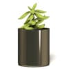 Plant 3D Model in Metal Pot - Image 3