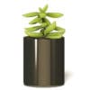 Plant 3D Model in Metal Pot - Image 5