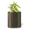 Plant 3D Model in Metal Pot - Image 7