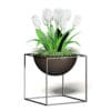 White Tulips 3D Model - Image 3