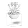 White Tulips 3D Model - Image 4