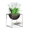 White Tulips 3D Model - Image 5
