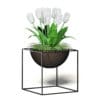 White Tulips 3D Model - Image 7
