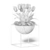 White Tulips 3D Model - Image 8