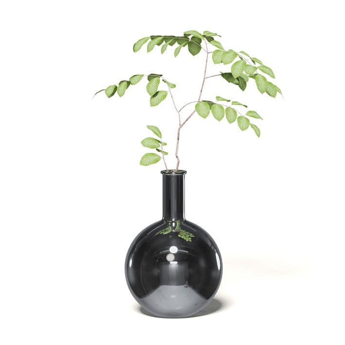Plant in Chrome Vase 3D Model