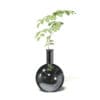 Plant in Chrome Vase 3D Model - Image 3