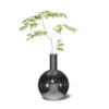 Plant in Chrome Vase 3D Model - Image 5