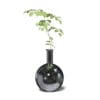 Plant in Chrome Vase 3D Model - Image 7