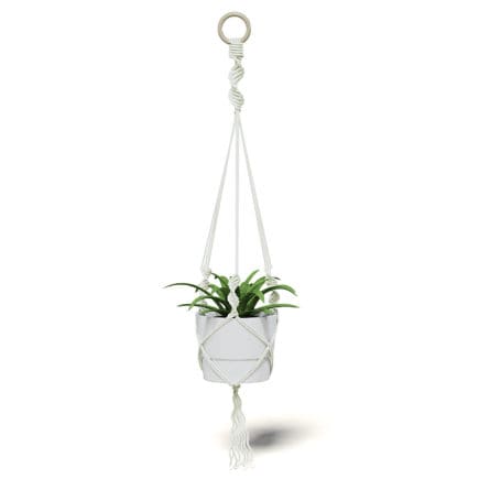 Plant in White Hanging Pot 3D Model