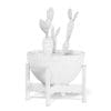 Cactus 3D Model in Brown Pot - Image 4