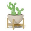 Cactus 3D Model in Brown Pot - Image 5