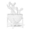 Cactus 3D Model in Brown Pot - Image 6
