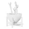 Cactus 3D Model in Brown Pot - Image 8