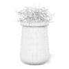 Plant 3D Model in Large Modern Pot - Image 2