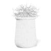Plant 3D Model in Large Modern Pot - Image 4
