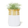 Plant 3D Model in Large Modern Pot - Image 5