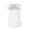 Plant 3D Model in Large Modern Pot - Image 6