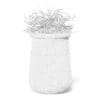Plant 3D Model in Large Modern Pot - Image 8