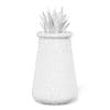 Plant 3D Model in Large Modern Pot - Image 2
