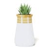 Plant 3D Model in Large Modern Pot - Image 5