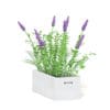 Flowers 3D Model in Wooden Box - Image 3