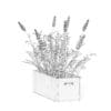Flowers 3D Model in Wooden Box - Image 4