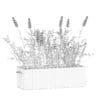 Flowers 3D Model in Wooden Box - Image 6