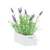 Flowers 3D Model in Wooden Box - Image 7