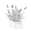Flowers 3D Model in Wooden Box - Image 8