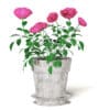 Pink Roses 3D Model in Ceramic Pot - Image 5