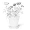 Pink Roses 3D Model in Ceramic Pot - Image 6