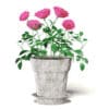 Pink Roses 3D Model in Ceramic Pot - Image 7