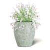 Pink Flowers 3D Model in Ceramic Pot - Image 3