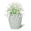 Pink Flowers 3D Model in Ceramic Pot - Image 5