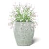 Pink Flowers 3D Model in Ceramic Pot - Image 7