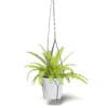 Fern 3D Model in Hanging Pot - Image 3