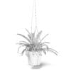 Fern 3D Model in Hanging Pot - Image 4