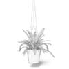 Fern 3D Model in Hanging Pot - Image 6