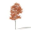 Autumn Trees 3D Models Collection - Volume 115 - Image 2