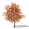 Autumn Trees 3D Models Collection - Volume 115 - Image 4