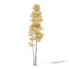Autumn Trees 3D Models Collection - Volume 115 - Image 11