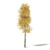 Autumn Trees 3D Models Collection - Volume 115 - Image 12