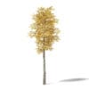 Autumn Trees 3D Models Collection - Volume 115 - Image 13