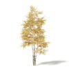Autumn Trees 3D Models Collection - Volume 115 - Image 16