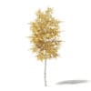 Autumn Trees 3D Models Collection - Volume 115 - Image 17